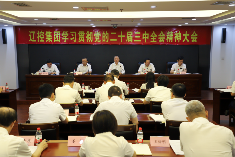 集团召开学习贯彻党的二十届三中全会精神大会